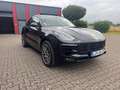 Porsche Macan GTS Panorama Sound LED Kamera Sport Chrono Negro - thumbnail 3