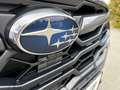 Subaru Crosstrek Comfort Gris - thumbnail 15