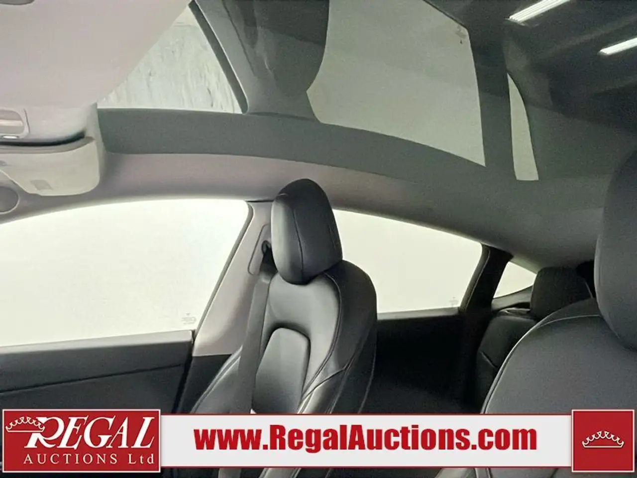 Tesla Model Y photo Tesla Model Y