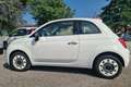 Fiat 500 500 1.2 Lounge 69cv Serie Spec. Slunga numerata Bianco - thumbnail 4
