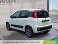 Fiat Panda 1.2 70 Lounge Weiß - thumbnail 3
