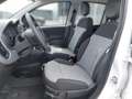 Fiat Panda 1.2 70 Lounge Weiß - thumbnail 5