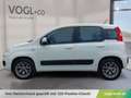 Fiat Panda 1.2 70 Lounge Weiß - thumbnail 2