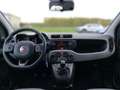 Fiat Panda 1.2 70 Lounge Weiß - thumbnail 4