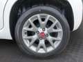 Fiat Panda 1.2 70 Lounge Weiß - thumbnail 13