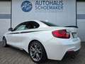 BMW 240 xDrive*DEUTSCH*NO OPF*Performance*1te.Hd. Alb - thumbnail 5