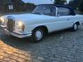 Mercedes-Benz 220 cabriolet Wit - thumbnail 4
