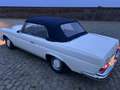 Mercedes-Benz 220 cabriolet Wit - thumbnail 7