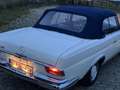 Mercedes-Benz 220 cabriolet Wit - thumbnail 8