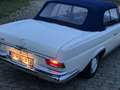Mercedes-Benz 220 cabriolet Wit - thumbnail 6