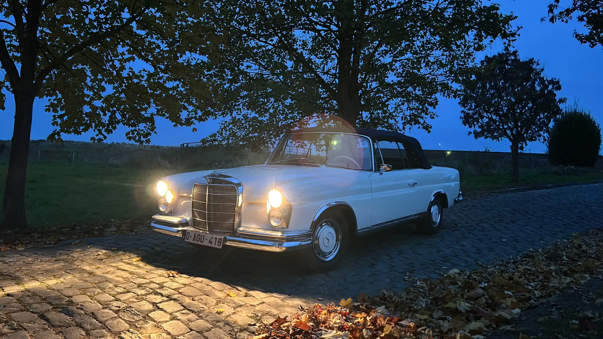 Mercedes-Benz 220 cabriolet Wit - 1