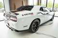 Dodge Challenger 5,7 R/T HEMI NAV ALPINE KAMERA LED Weiß - thumbnail 5