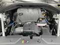Genesis GV70 2.5T AWD Luxury Inno&Technik&Komfort Paket*Pano Blanco - thumbnail 19