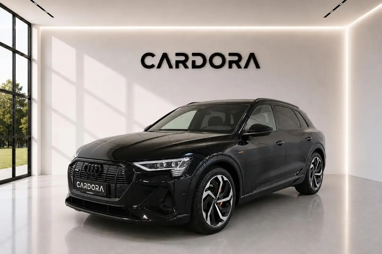 Audi e-tron 55 quattro S line MATRIX*LEDER*SKY*LUFTFEDERUNG*H Schwarz - 1