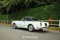Alfa Romeo 2000 SPIDER TOURING FULLY RESTORED Wit - thumbnail 4