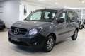 Mercedes-Benz Citan Kombi 108 CDI lang BlueEfficiency-Paket Grau - thumbnail 2