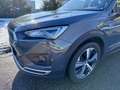SEAT Tarraco Tarraco eHybrid PHEV 245 Xcellence DSG Grau - thumbnail 2