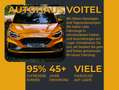 Ford Tourneo Custom Transit Custom Kombi Trail L2 8-Sitzer! Grey - thumbnail 29