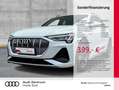 Audi e-tron 50 qu S LINE LEDER NAVI HuD ACC AHK Weiß - thumbnail 1