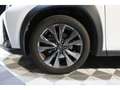 Lexus UX 250h 250h - F Sport - Hybride - Suivie Blanc - thumbnail 36