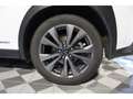 Lexus UX 250h 250h - F Sport - Hybride - Suivie Blanc - thumbnail 34