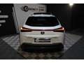 Lexus UX 250h 250h - F Sport - Hybride - Suivie Blanc - thumbnail 20