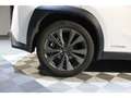 Lexus UX 250h 250h - F Sport - Hybride - Suivie Blanc - thumbnail 35