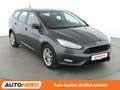 Ford Focus 1.0 EcoBoost Business *TEMPO*SHZ* Gris - thumbnail 8