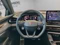CUPRA Terramar 1.5 eTSI 110 kW (150 PS) Grau - thumbnail 12