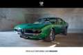 Alfa Romeo Montreal 2.6 V8 Coupé 200 cv Vert - thumbnail 21