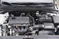 Hyundai i30 1.4i Comfort AIRCO CRUISE LMV Wit - thumbnail 21