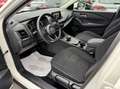 Nissan Qashqai 1.3 mhev Business 2wd 158cv xtronic Bianco - thumbnail 12