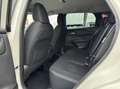 Nissan Qashqai 1.3 mhev Business 2wd 158cv xtronic Bianco - thumbnail 13