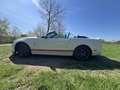 Shelby Sonstige Mustang Shelby GT500 SVT Cabrio Weiß - thumbnail 10