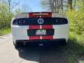 Shelby Sonstige Mustang Shelby GT500 SVT Cabrio Weiß - thumbnail 5
