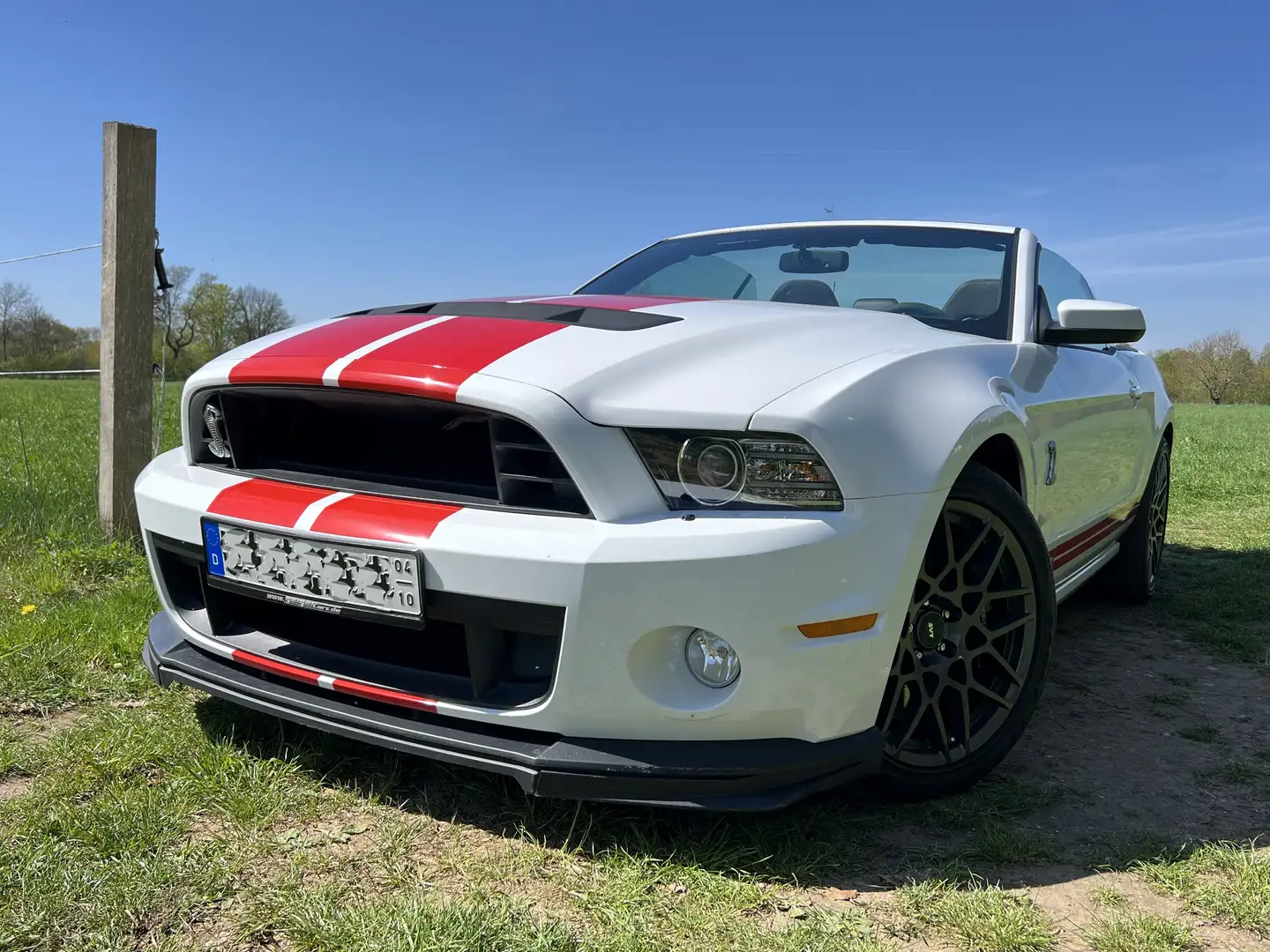 Shelby GT Mustang Shelby GT500 SVT Cabrio Weiß - 2