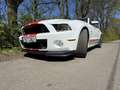 Shelby Sonstige Mustang Shelby GT500 SVT Cabrio Weiß - thumbnail 6
