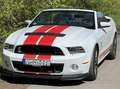Shelby Sonstige Mustang Shelby GT500 SVT Cabrio Weiß - thumbnail 2