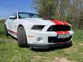 Shelby Sonstige Mustang Shelby GT500 SVT Cabrio Weiß - thumbnail 7
