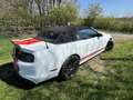 Shelby Sonstige Mustang Shelby GT500 SVT Cabrio Weiß - thumbnail 4