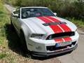 Shelby Sonstige Mustang Shelby GT500 SVT Cabrio Weiß - thumbnail 1