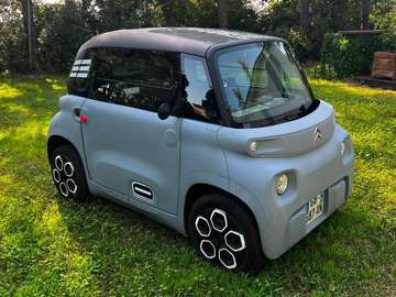 Ami 6