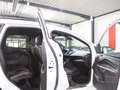 Ford Kuga ST-LINE SPORT WHITE & BLACK / XENON, LEDER Bianco - thumbnail 14