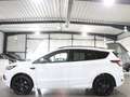 Ford Kuga ST-LINE SPORT WHITE & BLACK / XENON, LEDER Bianco - thumbnail 6