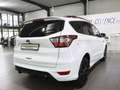 Ford Kuga ST-LINE SPORT WHITE & BLACK / XENON, LEDER Bianco - thumbnail 10