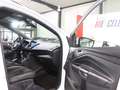 Ford Kuga ST-LINE SPORT WHITE & BLACK / XENON, LEDER Bianco - thumbnail 15
