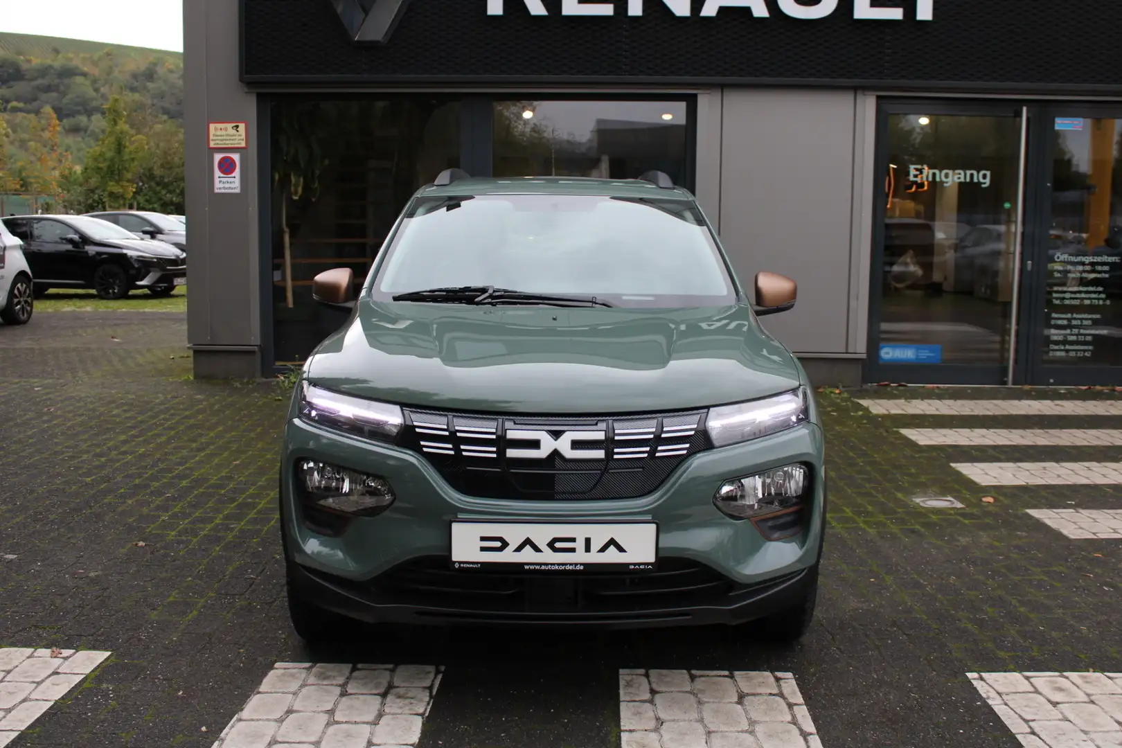 Dacia Spring Grau - 2