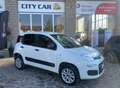 Fiat Panda Autocarro 2 posti 4x4 Bianco - thumbnail 2