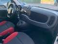 Fiat Panda Autocarro 2 posti 4x4 Bianco - thumbnail 13