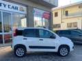 Fiat Panda Autocarro 2 posti 4x4 Bianco - thumbnail 3